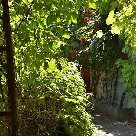 La Maison De Marthe * Malleval